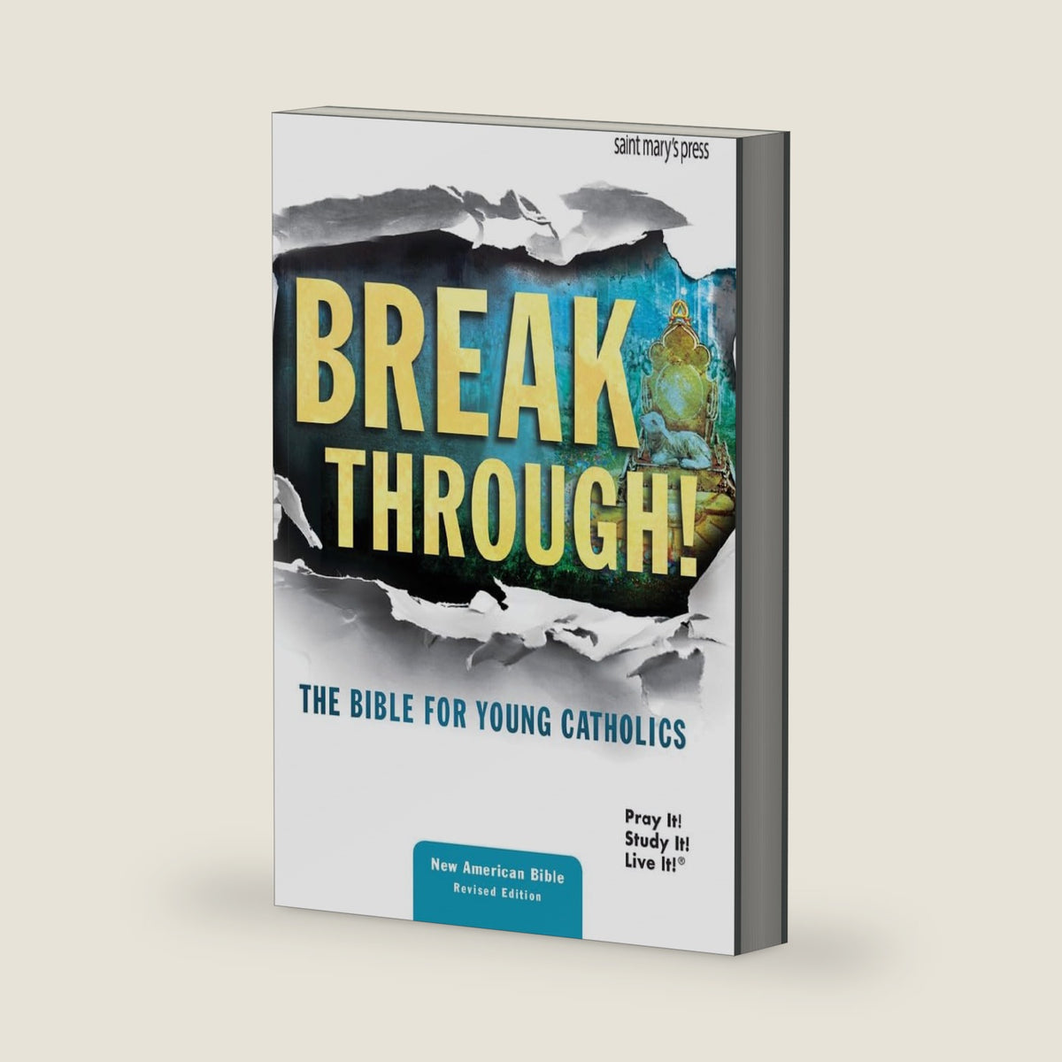 Breakthrough! The Bible for Young Catholics - Hardcover: NABRE translation by Saint Mary's Press