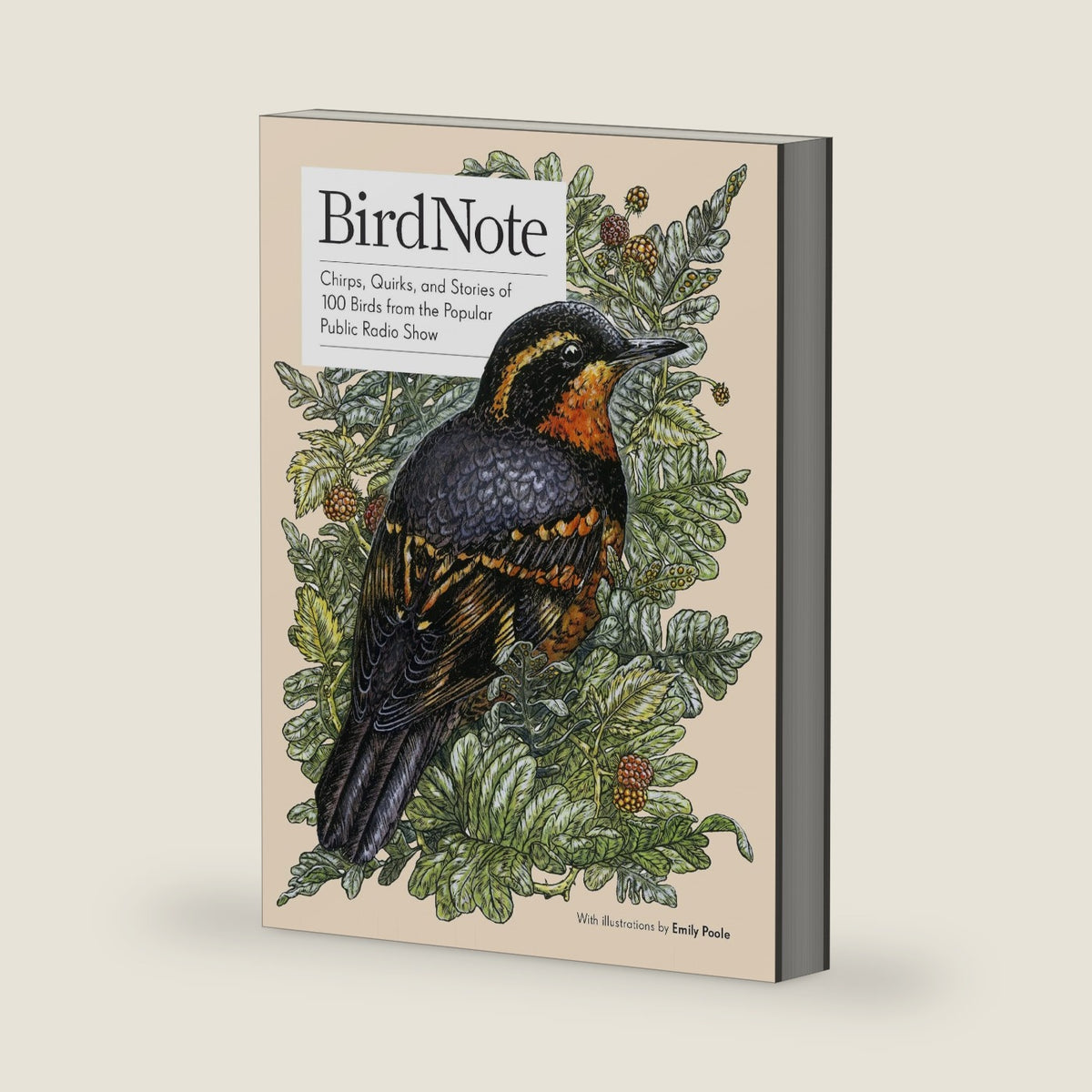 BirdNote: 100 Illustrated Bird Stories to Inspire Your Bird Watching by BirdNote