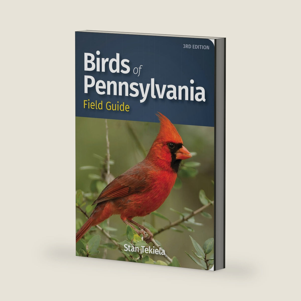Birds of Pennsylvania Field Guide (Bird Identification Guides) by Stan Tekiela