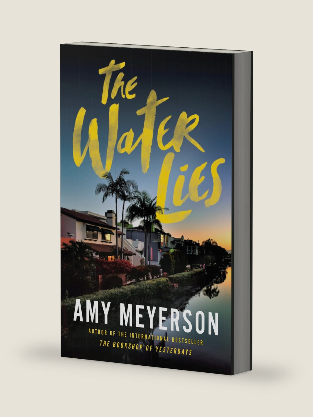 The Water Lies by Amy Meyerson