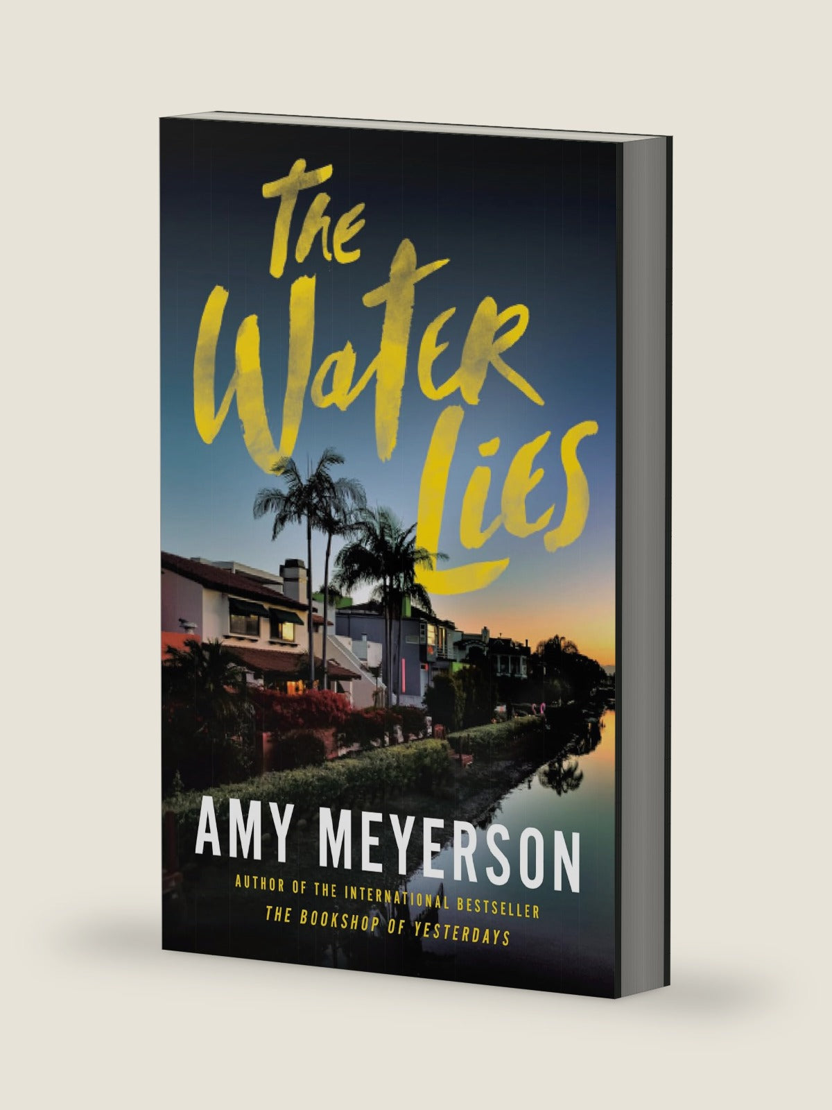 The Water Lies by Amy Meyerson