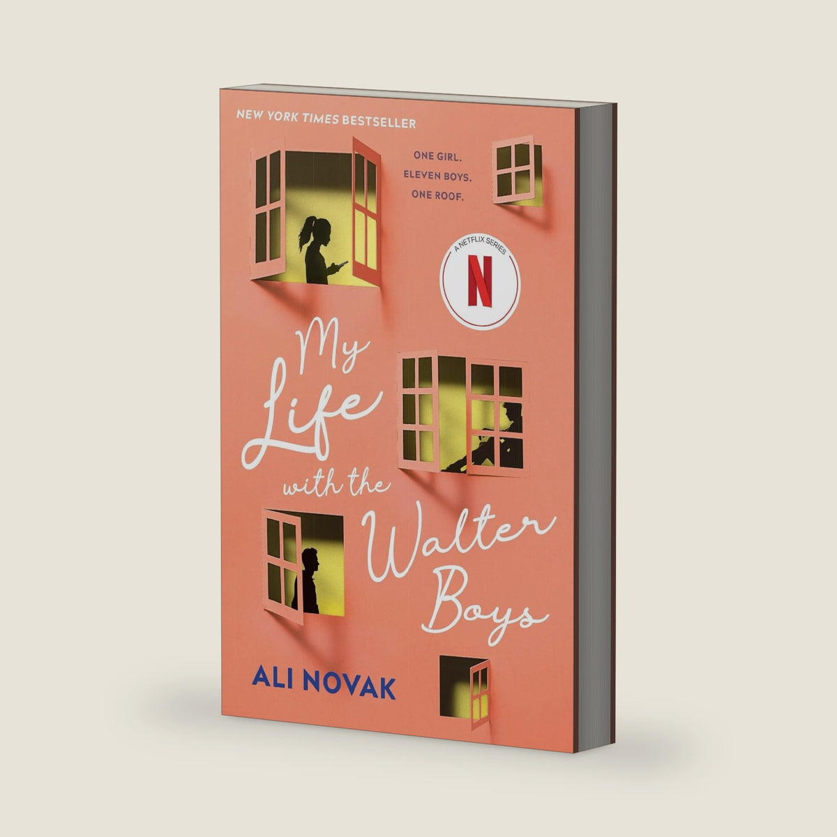 My Life with the Walter Boys: Now a Netflix Series! by Ali Novak