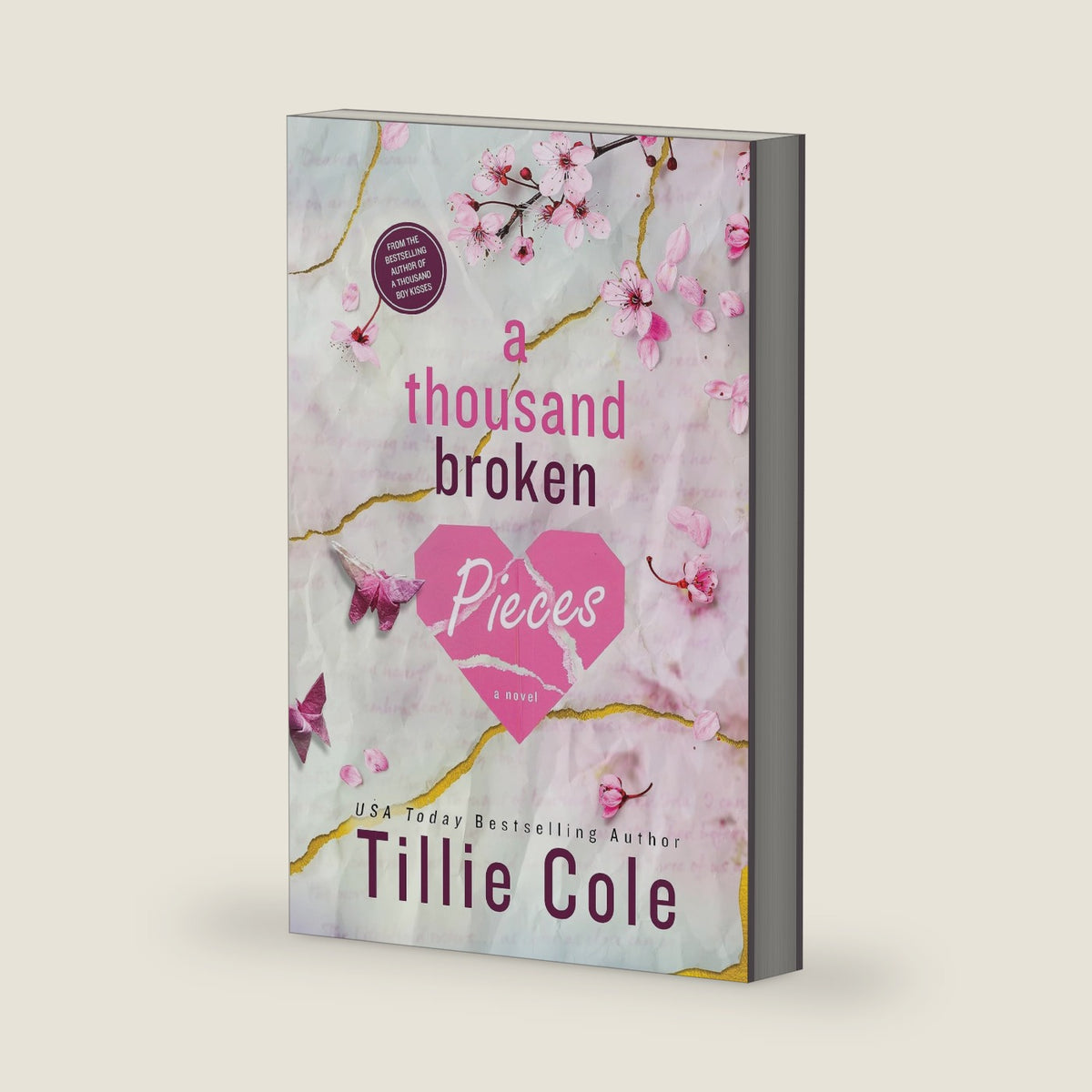 A Thousand Broken Pieces (Boy Kisses, 2) by Tillie Cole