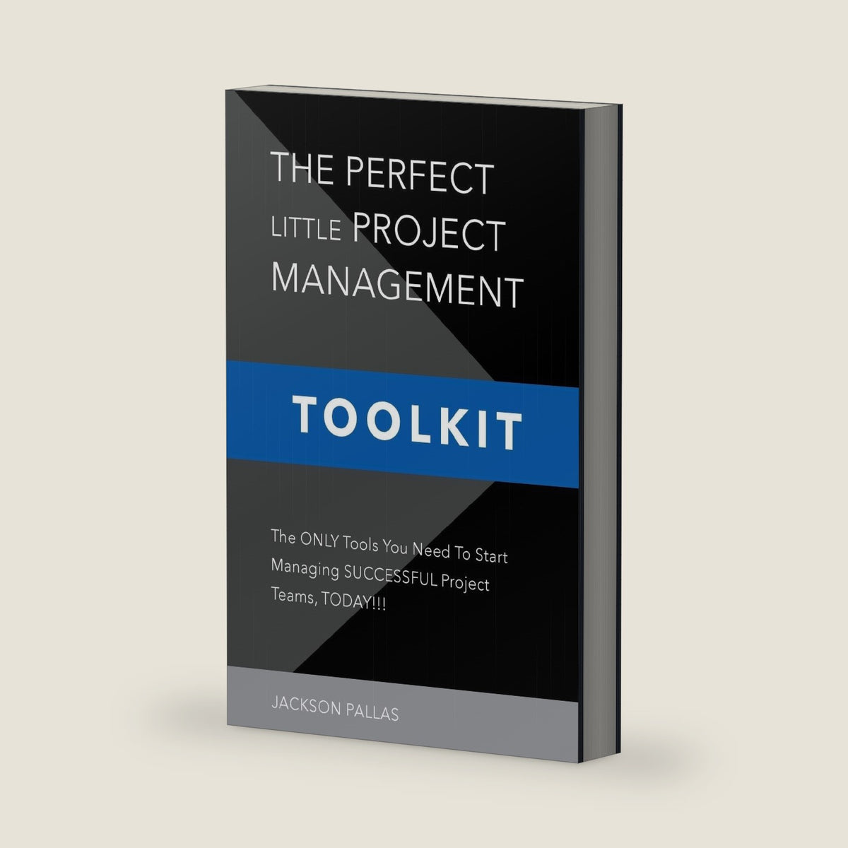 The Perfect Little Project Management Toolkit: The Only Tools You Need To Start Managing Successful Project Teams@@ Today!!! (Little Black Business Books) by Jackson Pallas