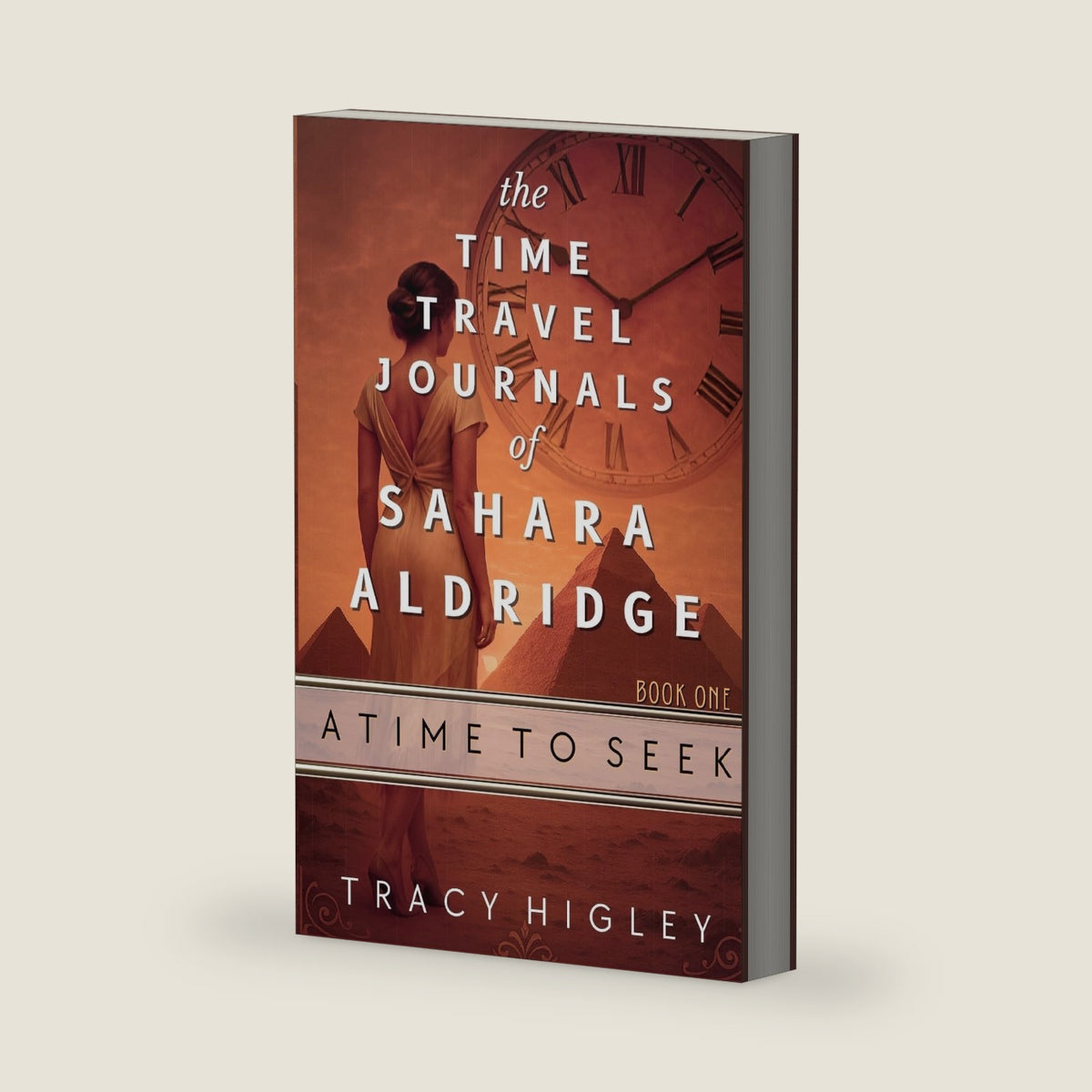 A Time to Seek by Tracy Higley