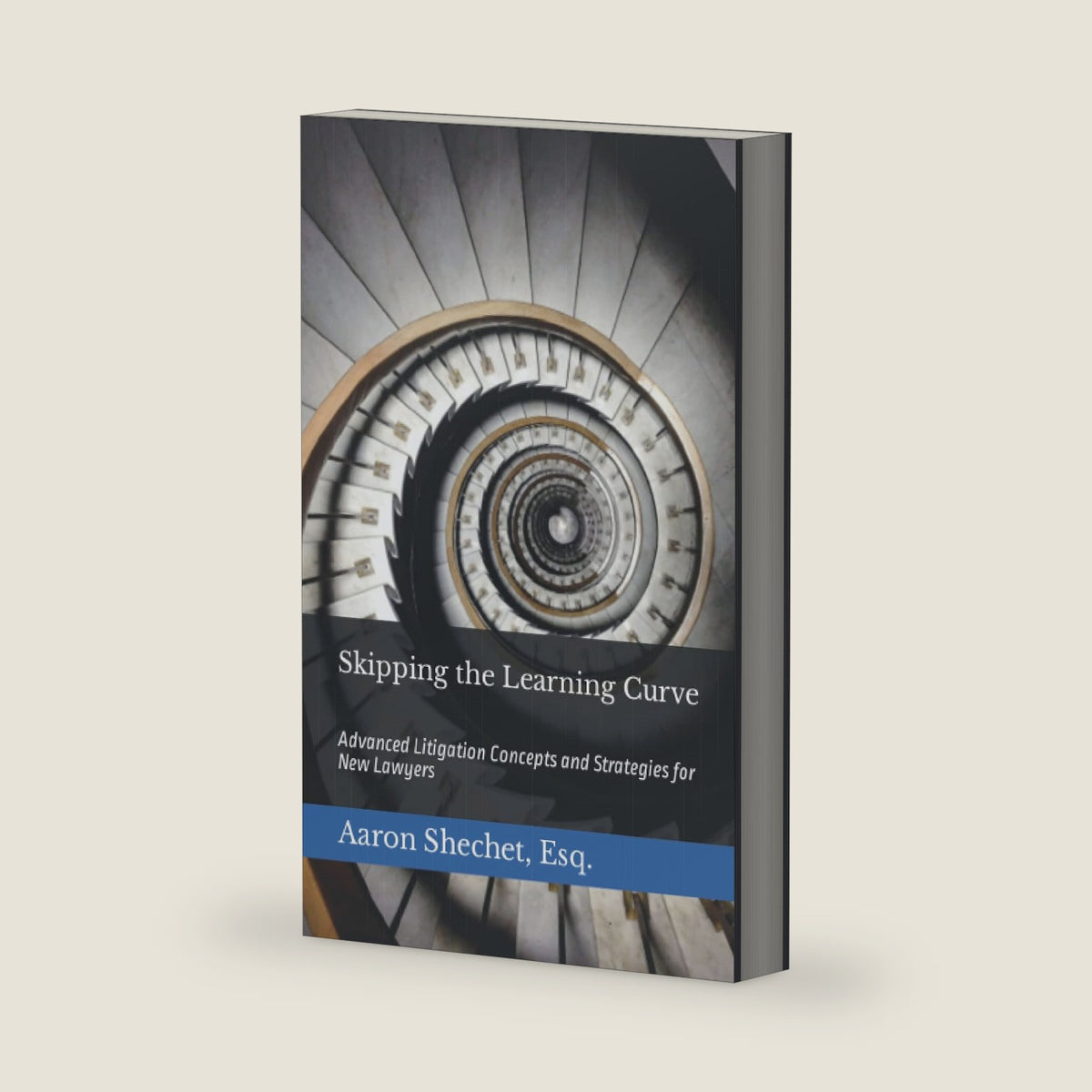Skipping the Learning Curve: Advanced Litigation Concepts and Strategies for New Lawyers by Aaron Shechet Esq.