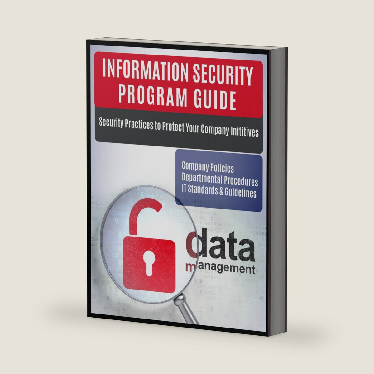 Information Security Program Guide: Company Policies, Departmental Procedures, IT Standards & Guidelines (Information Security Program Series) by IT Security Risk Manager