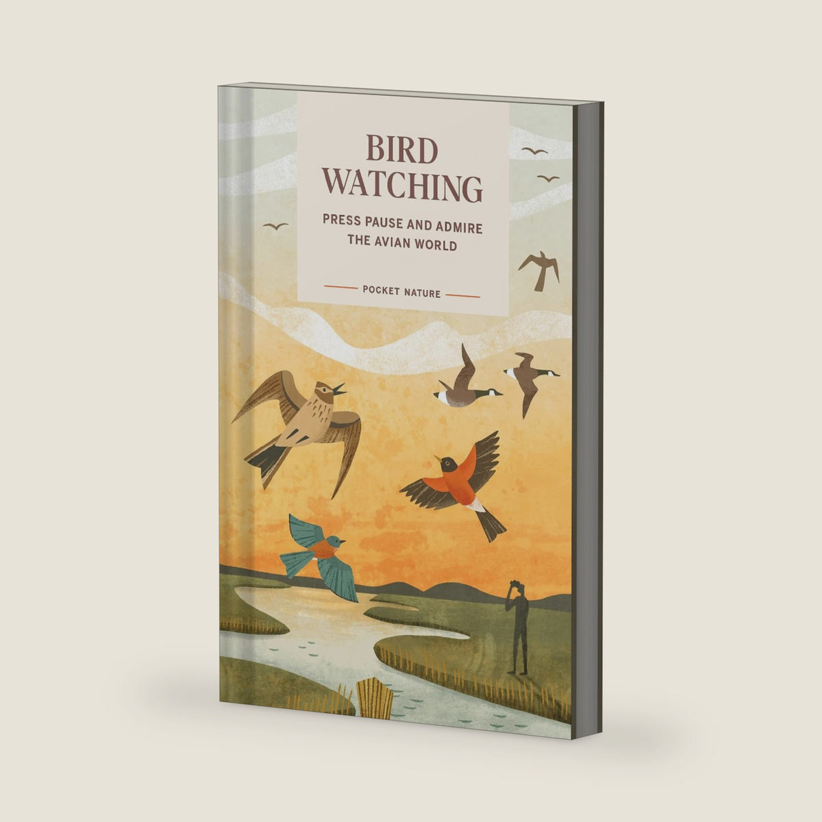 Pocket Nature: Bird-Watching: Press Pause and Admire the Avian World by Andrea Debbink