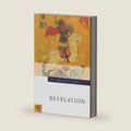 The Navarre Bible: The Revelation to John (The Apocalypse): Second Edition by Four Courts Press
