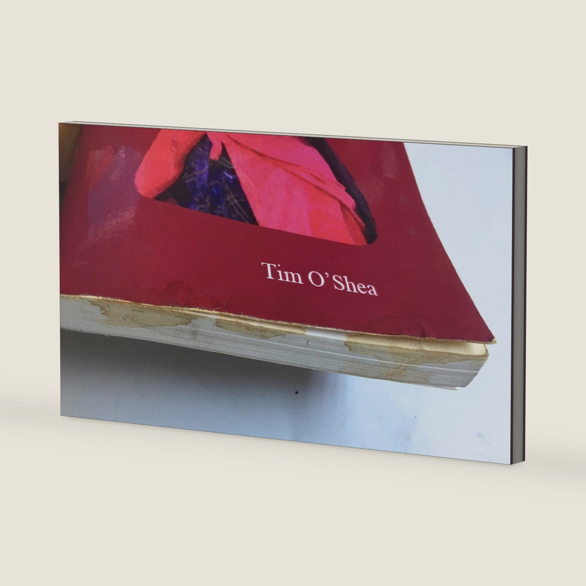 Vaccination Is Not Immunization 3rd Ed. Third Edition (2013) by Tim O'Shea