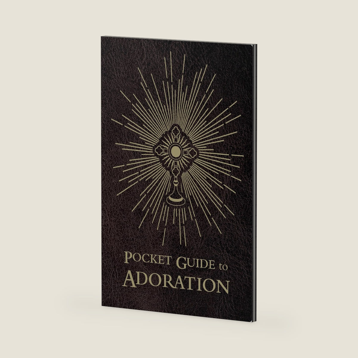 Pocket Guide to Adoration by Fr. Josh Johnson