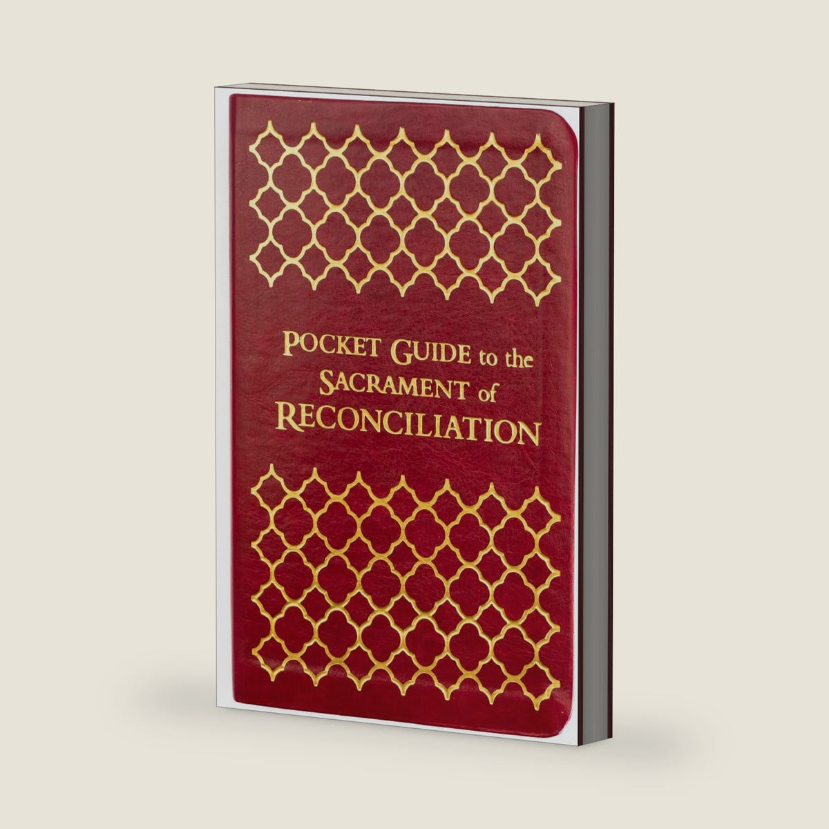 Pocket Guide to the Sacrament of Reconciliation by Fr. Mike Schmitz
