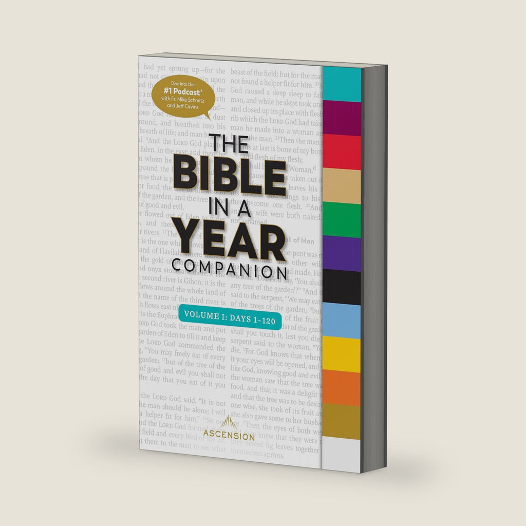 The Bible in a Year Companion, Volume I by Fr. Mike Schmitz