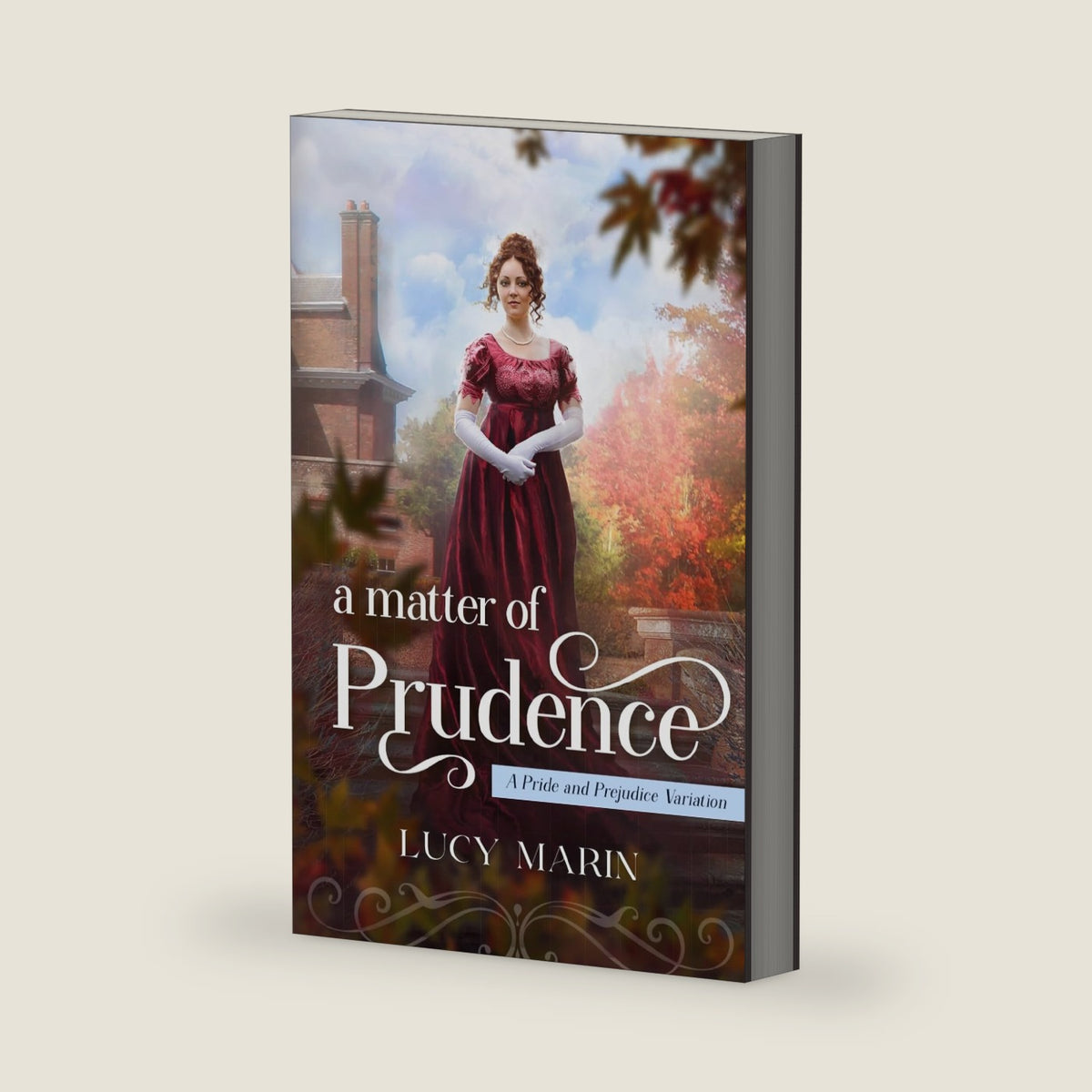 A Matter of Prudence (Family Matters Series) by Lucy Marin