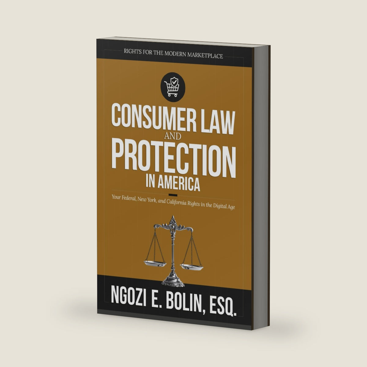 Consumer Law and Protection in America:: Your Federal, New York, and California Rights in the Digital Age by Ngozi E. Bolin Esq