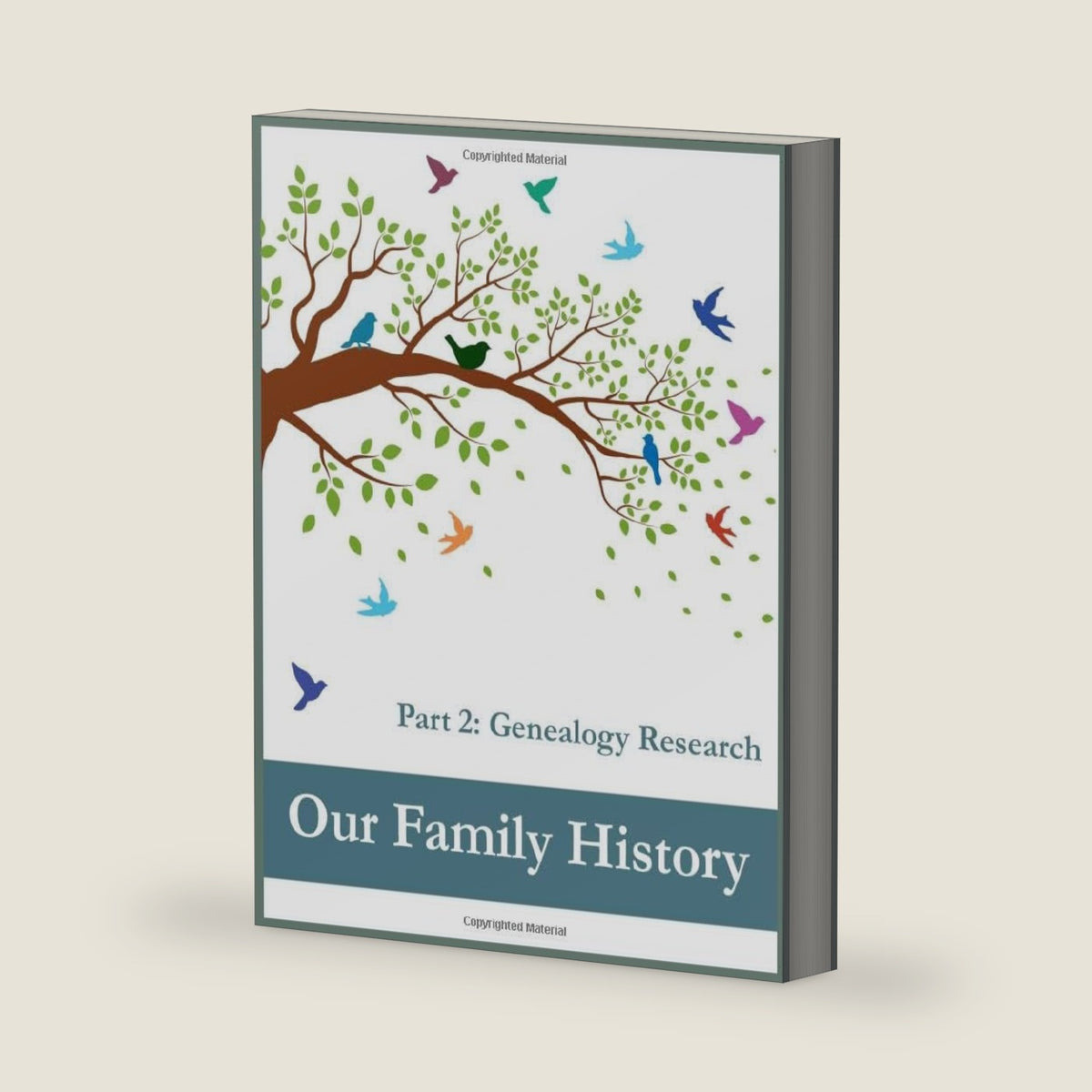Our Family History. Part 2: Genealogy Research: For recording all kinds of background information about ancestors and keeping a research log. by Jacobien Beeker