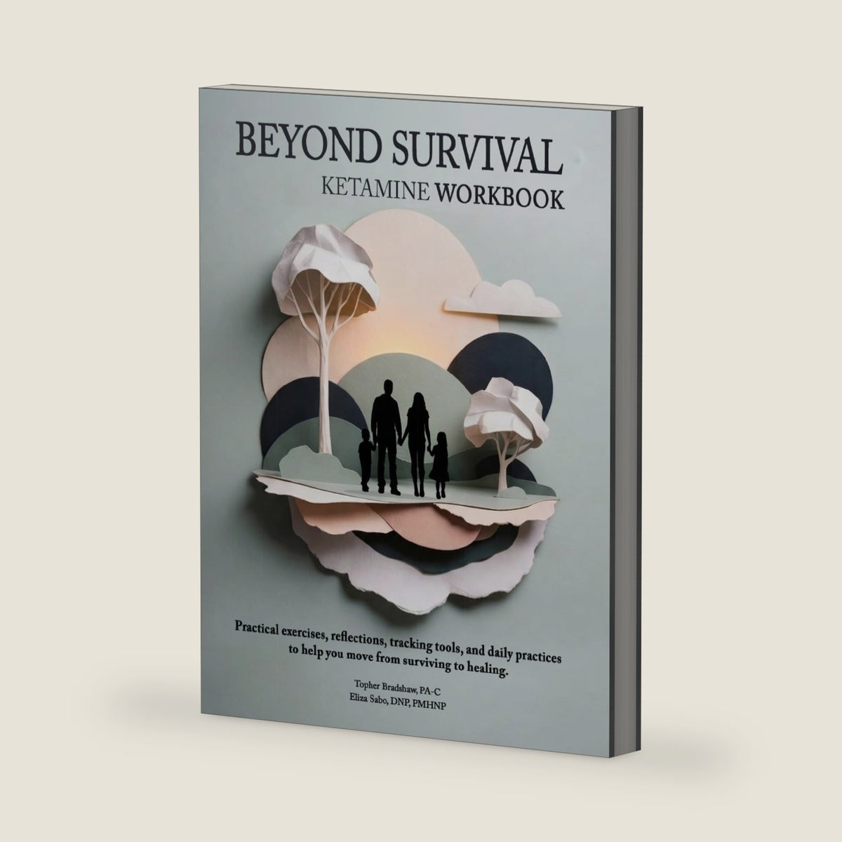 Beyond Survival Workbook: A Guided Workbook for Trauma Recovery, PTSD, Anxiety, Depression, Nervous System Healing, and Ketamine Therapy by Topher Bradshaw PA-C