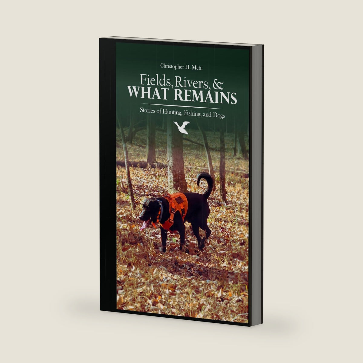 Fields, Rivers, and What Remains: Stories of Hunting, Fishing, and Dogs by Christopher Hart Mehl
