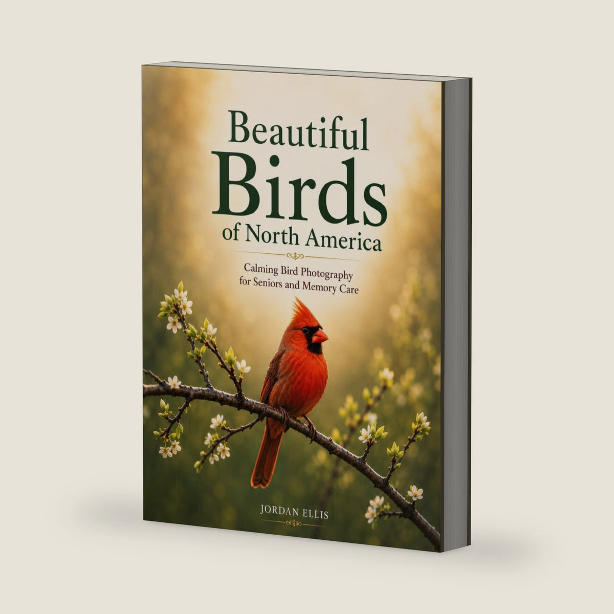 Beautiful Birds of North America: Calming Bird Photography for Seniors and Memory Care by Jordan Ellis