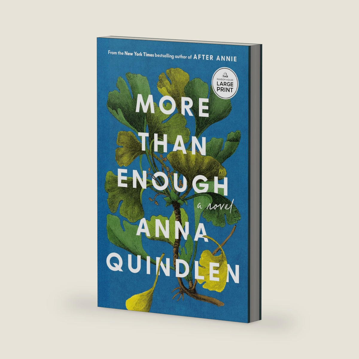 More Than Enough: A Novel by Anna Quindlen