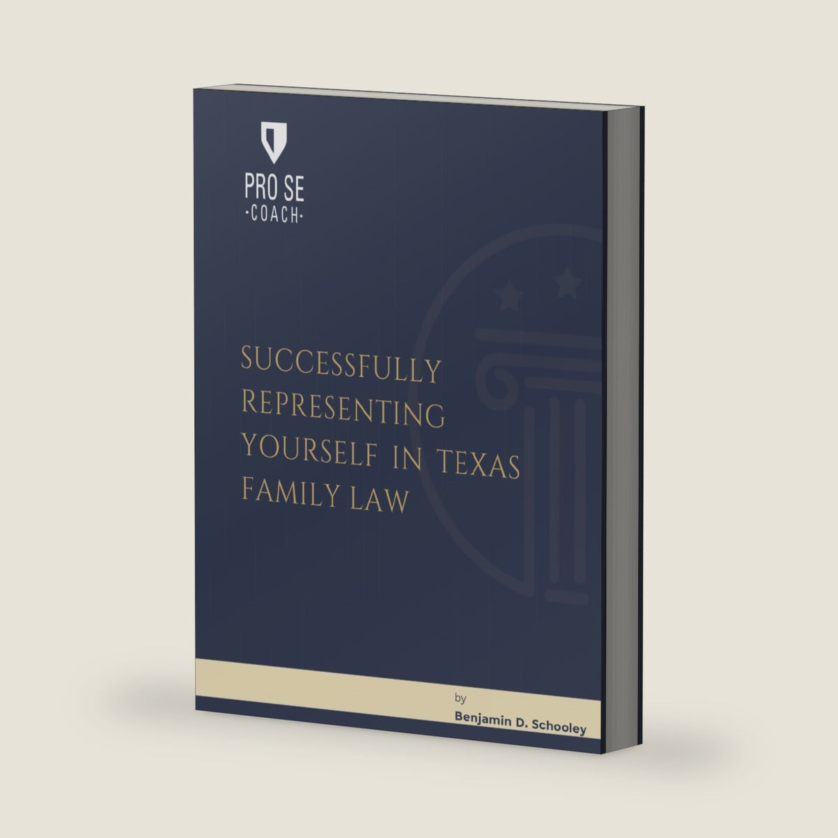 Pro Se Coach - Successfully Representing Yourself in Texas Family Law by Benjamin D. Schooley