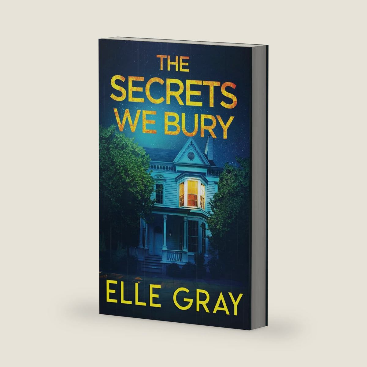 The Secrets We Bury (A Chesapeake Valley Mystery) by Elle Gray