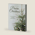 Prairie Christmas: Little House Word Search by Little House by The Perry's