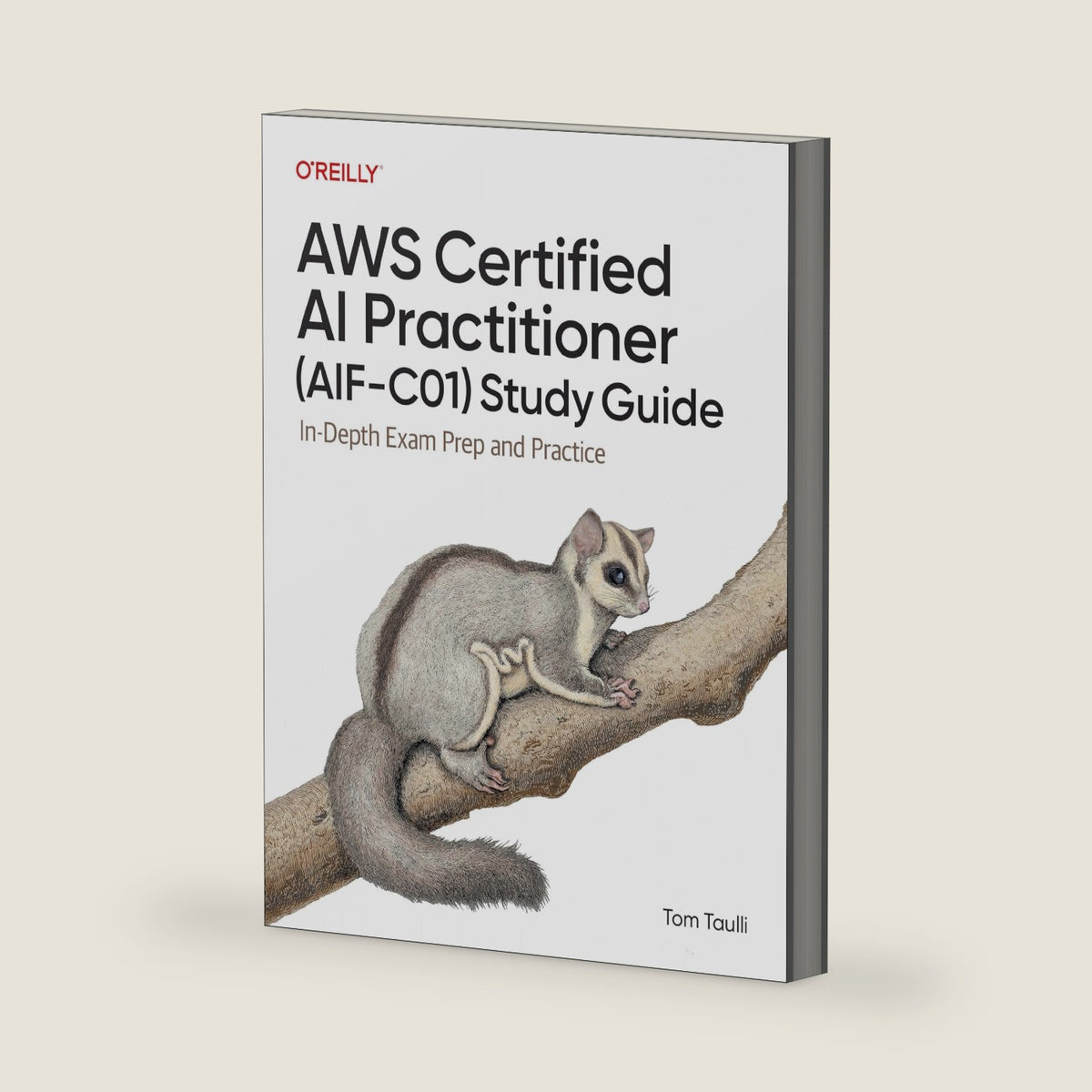 AWS Certified AI Practitioner (AIF-C01) Study Guide: In-Depth Exam Prep and Practice by Tom Taulli