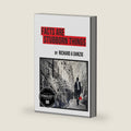 Facts Are Stubborn Things (Chance Cormac Legal Thrillers) by Richard A. Danzig