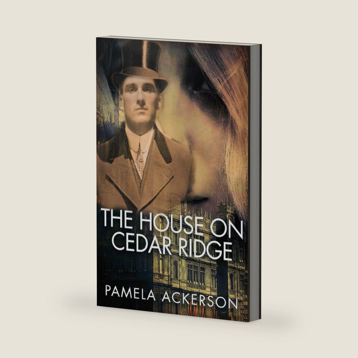 The House on Cedar Ridge--Large Print (The Cedar Ridge Hills Museum Series: Large Print) by Pamela Ackerson