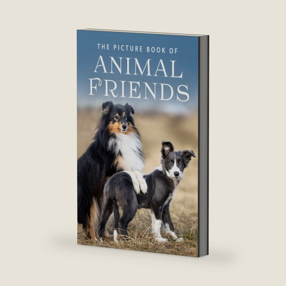The Picture Book of Animal Friends: A Gift Book for Alzheimer's Patients and Seniors with Dementia by Sunny Street Books