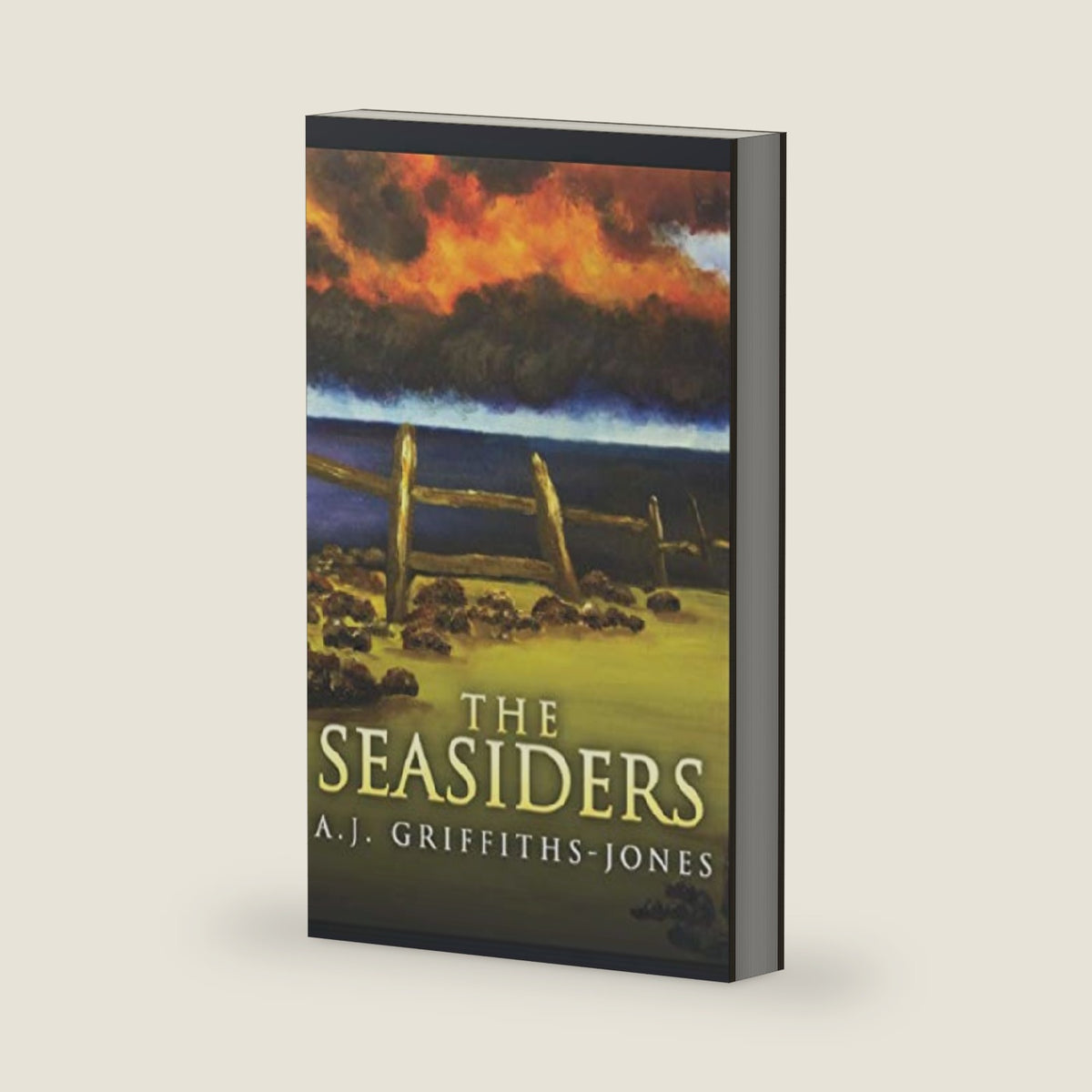 The Seasiders: Pocket Book Edition (Skeletons In The Cupboard Series) by A.J. Griffiths-Jones