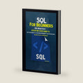 SQL For Beginners: A Step-By-Step Guide to SQL Programming for the Beginner, Intermediate and Advanced User (Including Projects and Exercises) by Craig Berg