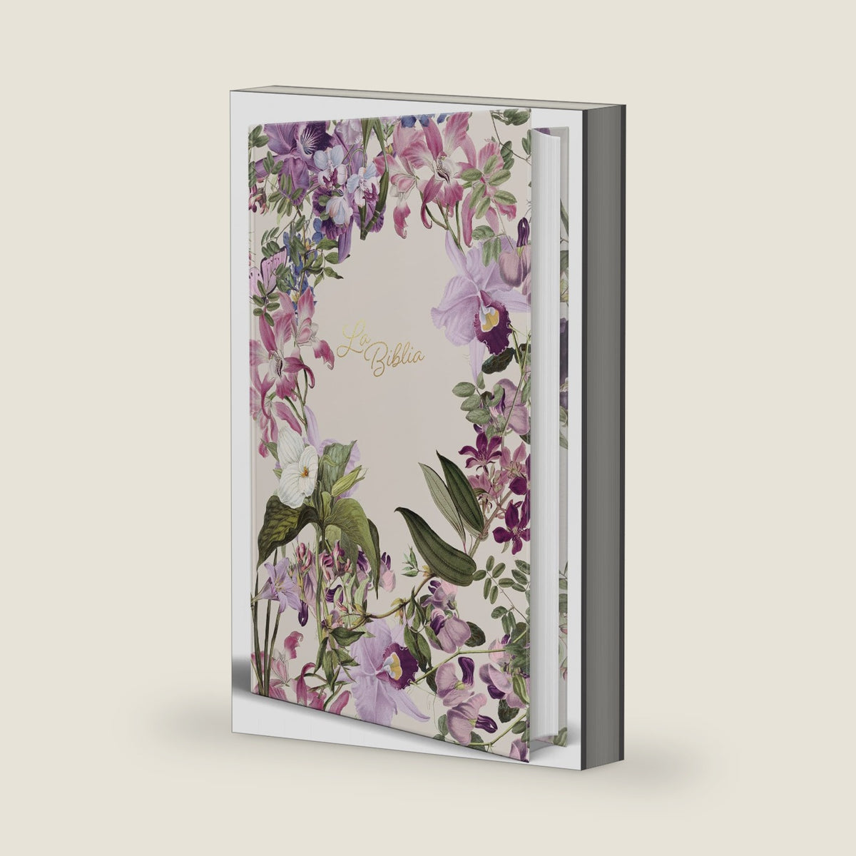 La Biblia Católica: Edición letra grande. Tapa dura, morada con flores / Catholic Bible: Large Print, Hard Cover, Purple with flowers (Spanish Edition) by Biblia de América