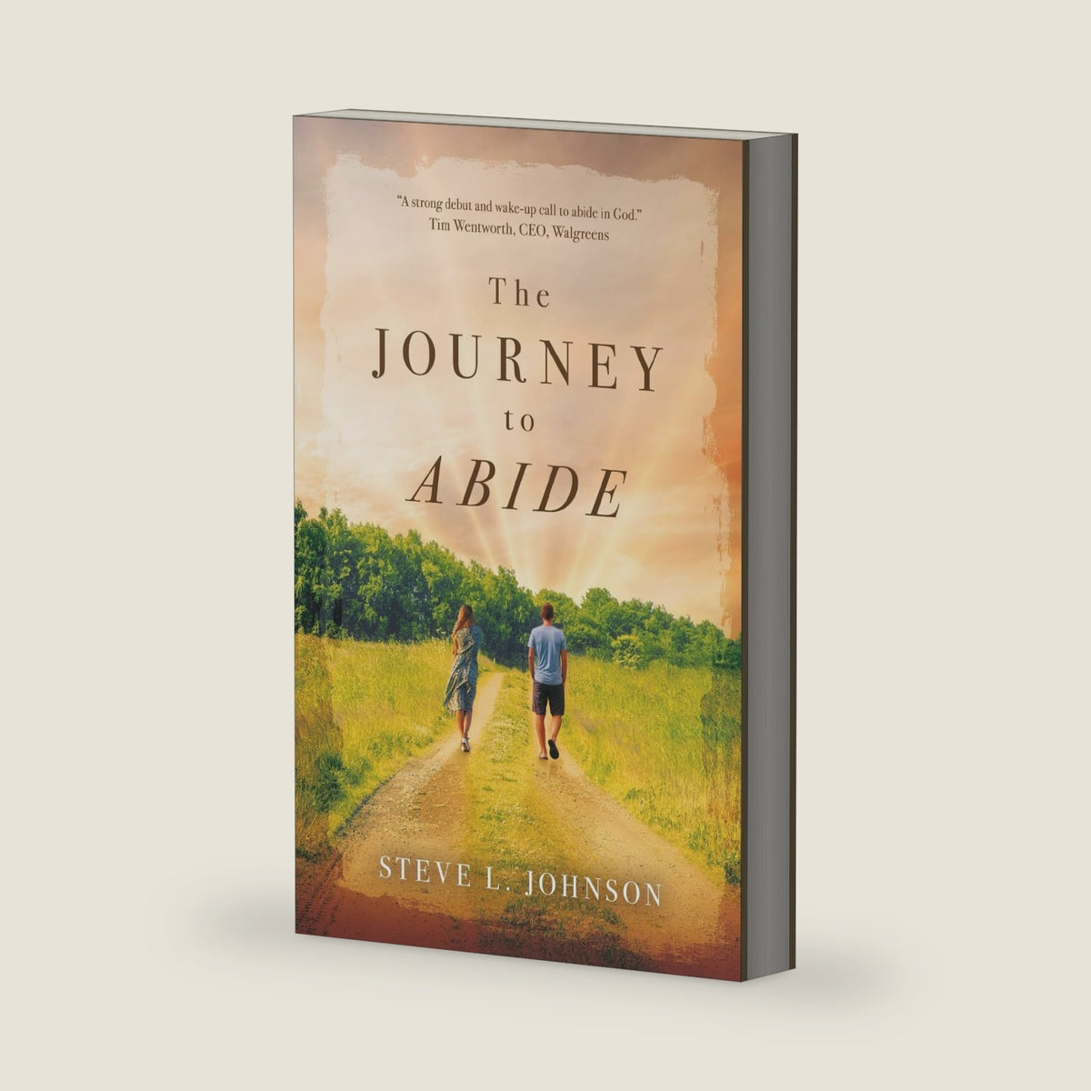 The JOURNEY to ABIDE by Steve L. Johnson
