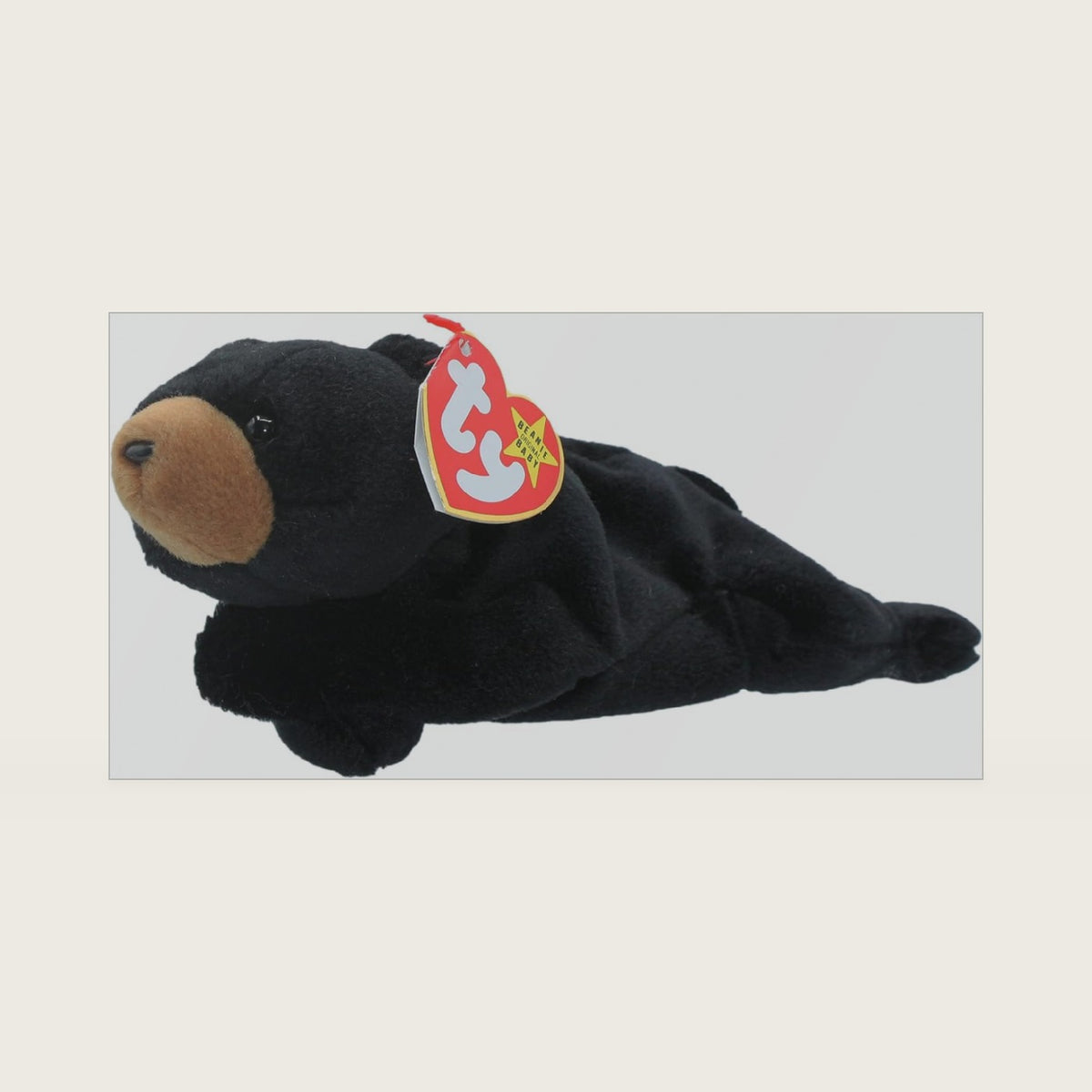 Beanie Baby - BLACKIE the Black Bear