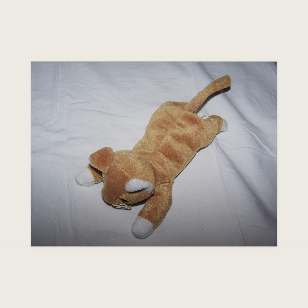 Beanie Babies - Nip The Cat
