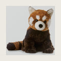 Flopsie 11" Lesser Panda Adorable Stuffed Animal
