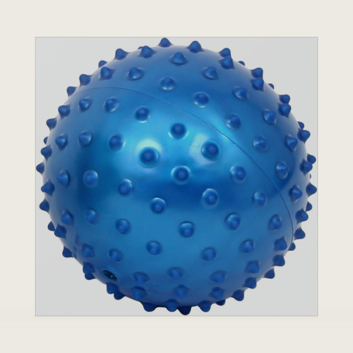 Fun and Function – Spiky Tactile Balls – Bumpy, Textured, Tactile Sensory Balls for Kids Ages 3+ – 5 Inch – Blue