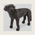 Giant Black Lab - Lifelike Stuffed Animal Dog (over 2 feet tall)