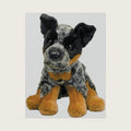 Dexter Australian Cattle Dog Plush Stuffed Animal