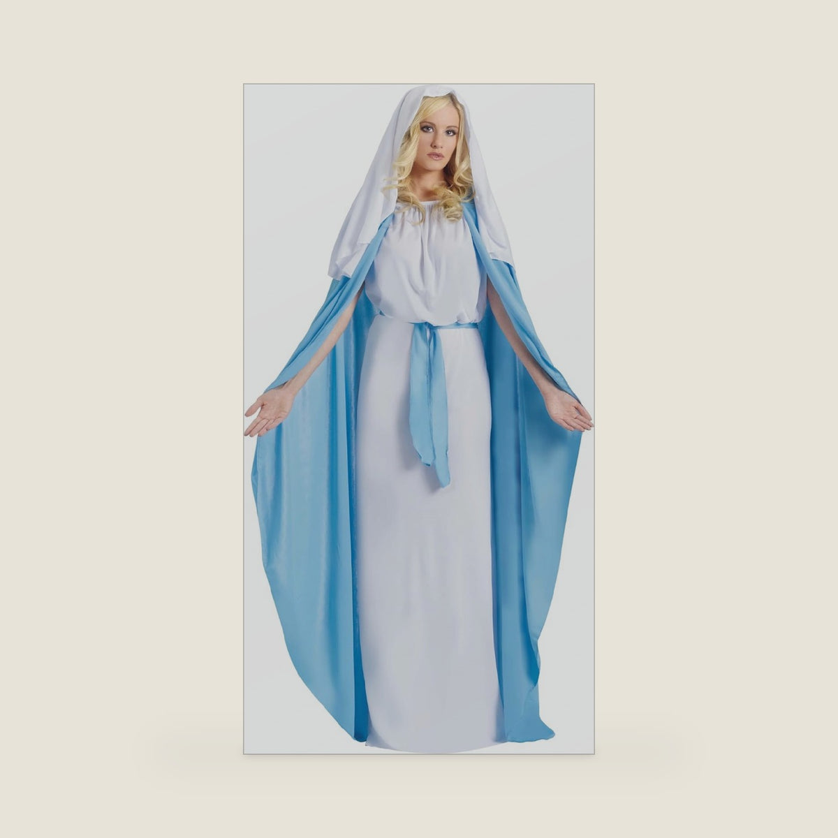 Fun World Adult Mary Costume