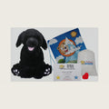 Stuffems Toy Shop Make Your Own Stuffed Animal 16" "Shadow the Black Labrador - No Sew - Kit with Cute Backpack!