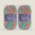 JubileeYarn Chunky Melody Yarn - Rainbow Sherbet - 2 Skeins