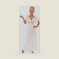 Rubie's Costume Women's Grecian Adult Costume Dress