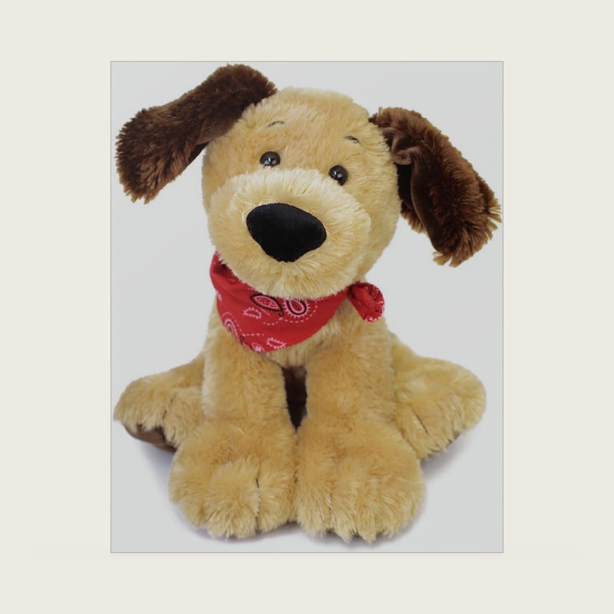 Bandit Dog Brown