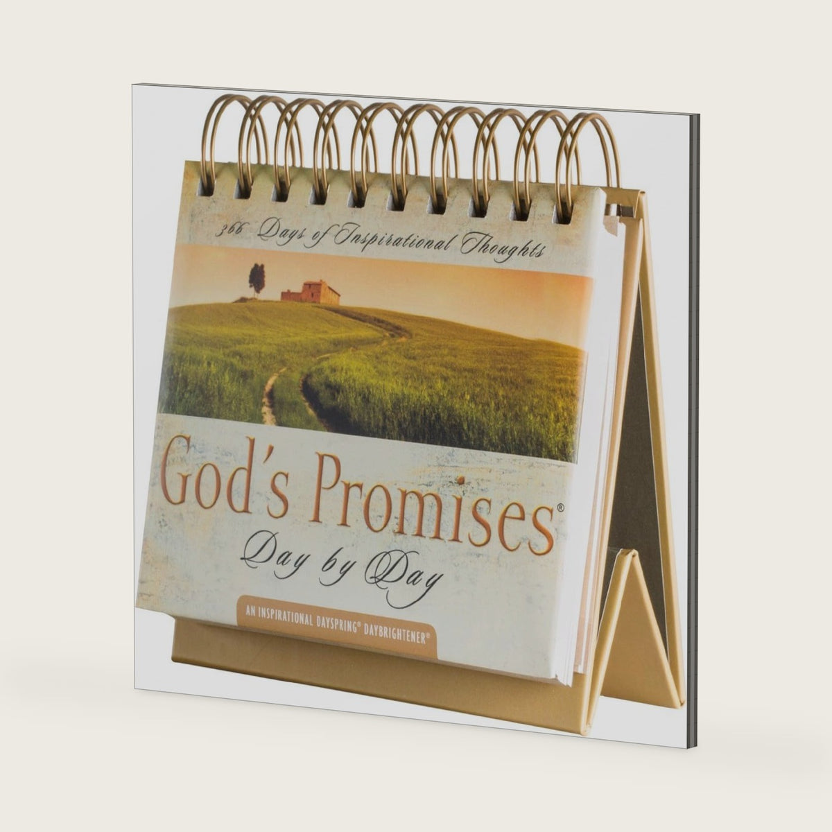 God's Promises Day by Day: 365 Days of Inspirational Thoughts - An Inspirational DaySpring DayBrightener - Perpetual Calendar