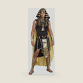 Dreamgirl Men's Sexy King of Egypt Costume