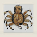 Zack & Zoey Fuzzy Tarantula Costume for Dogs, 12" Small,Brown