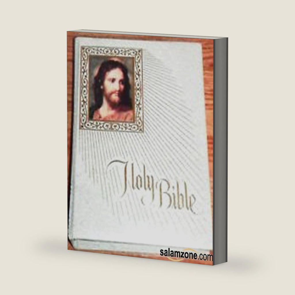 Holy Bible Fireside Family Edition NAB Catholic
